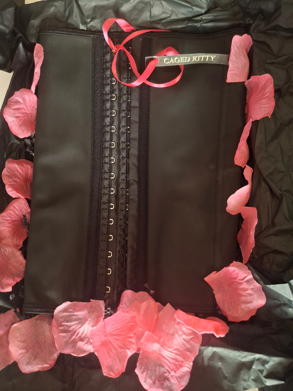 Caged Kitty Midnight Soft to Touch Corset